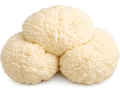 Lion’s Mane