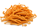 Cordyceps