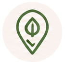 Matcha icon